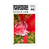 water drop on leaves stamps