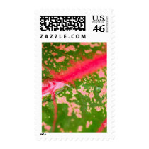 water drop on leaves stamps