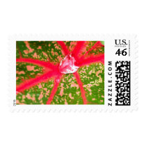 water drop on leaves stamps