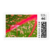 water drop on leaves stamps