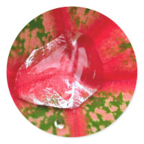 water drop on leaves stickers