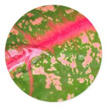 water drop on leaves stickers