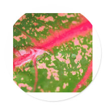 water drop on leaves stickers