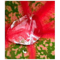 water drop on leaves t-shirts