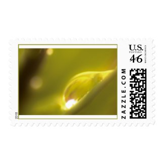 Water Drop Stamp 1 stamp