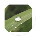 water drop stickers by naturelife water drop stickers