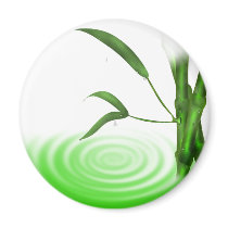 Water drop water ripple bamboo plant  Magnet