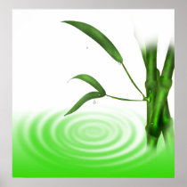 Water drop water ripple bamboo plant  Print