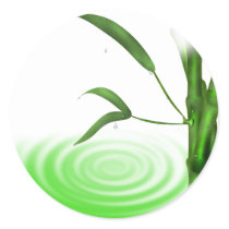 Water drop water ripple bamboo plant  Sticker