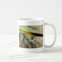 water droplet cactus mug