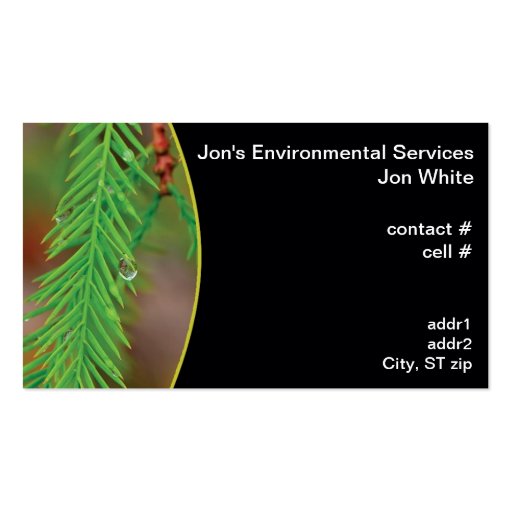 Water droplet on bald cypress foliage business card template