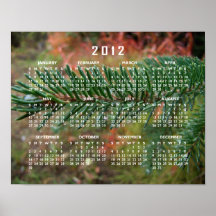 Water Droplets on Spruce Bough; 2012 Calendar Poster