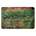 Water Droplets on Spruce Bough; 2012 Calendar Rectangle Magnets