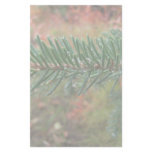 Water Droplets on Spruce Bough stationery