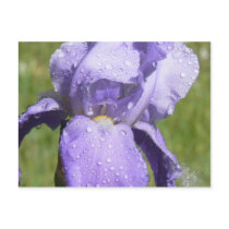 Water Droplets postcards by codfishlady Water Droplets postcards