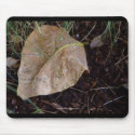 Water Drops Leaf 3 mousepads