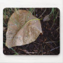 Water Drops Leaf 3 mousepads