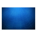 Water drops on a spider web (Blue) posters by vladstudio Water drops on a spider web (Blue) posters