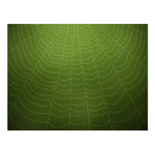 Water drops on a spider web postcard