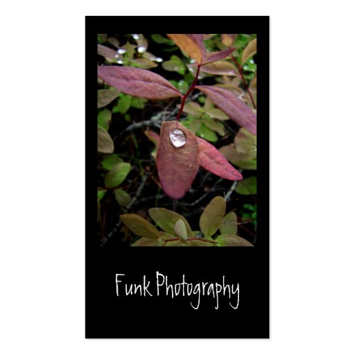 Water Drops on Foliage Business Card Templates