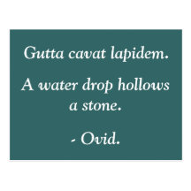Water Drops Postcards