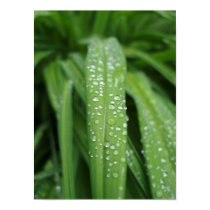 Water drops posters