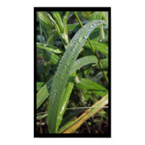 water drops posters by procne water drops posters
