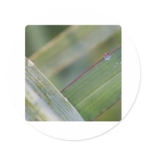 WATER DROPS stickers by toots1 WATER DROPS stickers