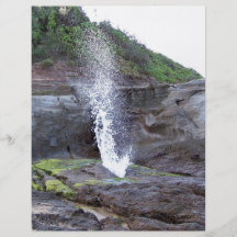 Water errupting from blow hole flyers