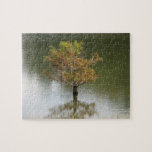 Water everywhere jigsaw puzzle