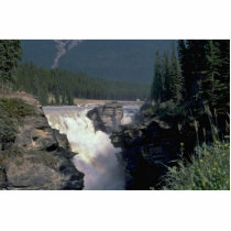 Water Fall In Jungle Photo Cutouts