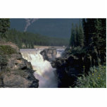 Water Fall In Jungle Photo Cutouts