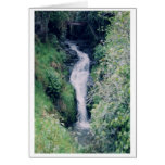 Water Fall in New Zealand Greeting Cards