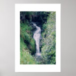 Water Fall in New Zealand Posters