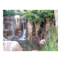Water Fall posters