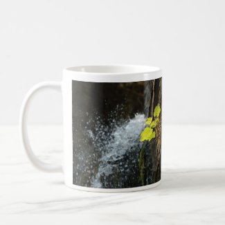 Water Falls mug