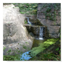 Water Falls Poster posters