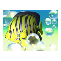 Water Fantasy Angelfish Print by spenayoung Water Fantasy Angelfish Print