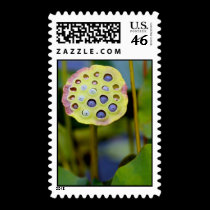 Water Flower Postage Stamp