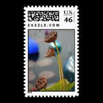 Water Flowers 2 Postage Stamp