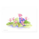 Water Flowers posters by floatinglemons Water Flowers posters