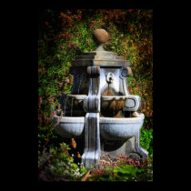 Water Fountain Canvas posters
