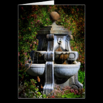 Water Fountain cards