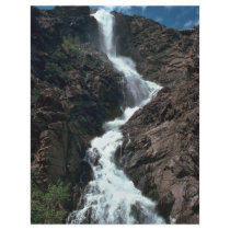 Water From The Top Custom Flyer