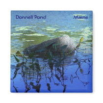 Water Garden magnets by awhitelaw Water Garden magnets