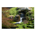 Water Garden   Print