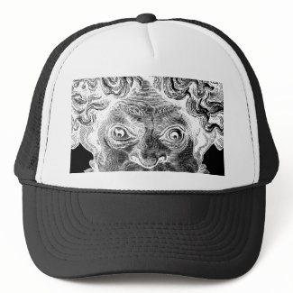 Water Gargoyle - Hat #2 hat