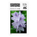 Water Hyacinth postage