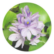 Water Hyacinth stickers by princessklb07 Water Hyacinth stickers