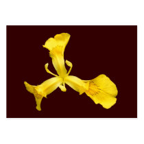 Water Iris ~ ATC business cards by Andy2302 Water Iris ~ ATC business cards
